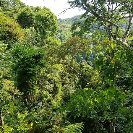 On The Rocks Bungalows, Restaurant And Jungle Trekking Tours Bukit Lawang Esterno foto