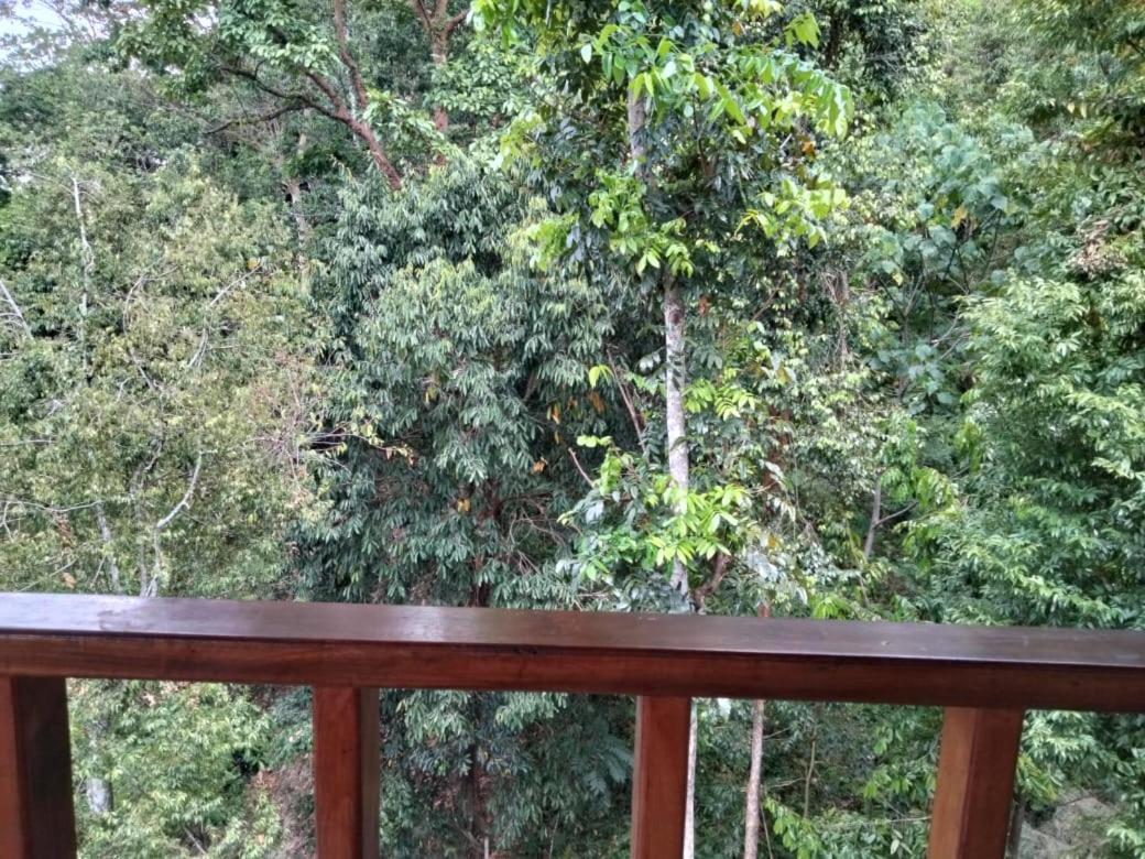 On The Rocks Bungalows, Restaurant And Jungle Trekking Tours Bukit Lawang Esterno foto