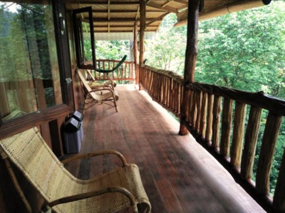 On The Rocks Bungalows, Restaurant And Jungle Trekking Tours Bukit Lawang Esterno foto
