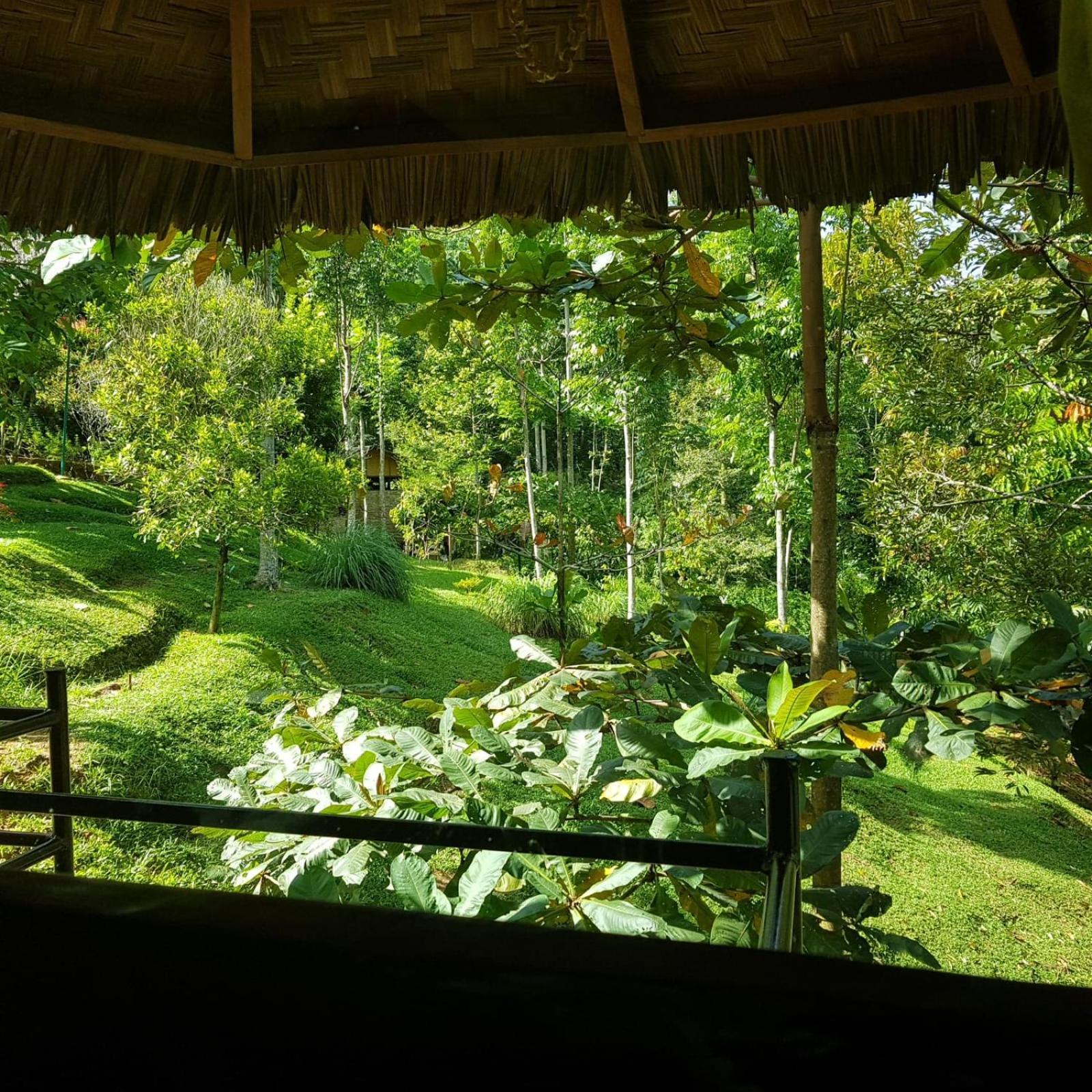 On The Rocks Bungalows, Restaurant And Jungle Trekking Tours Bukit Lawang Esterno foto