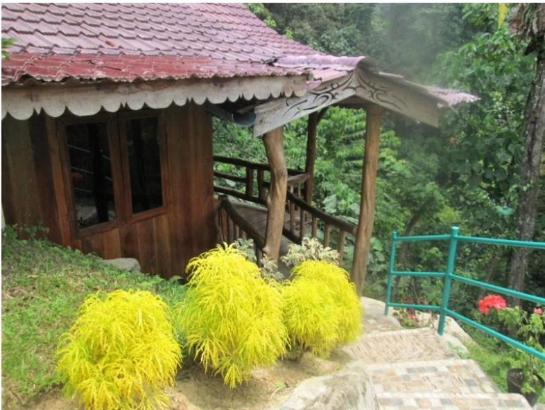 On The Rocks Bungalows, Restaurant And Jungle Trekking Tours Bukit Lawang Esterno foto