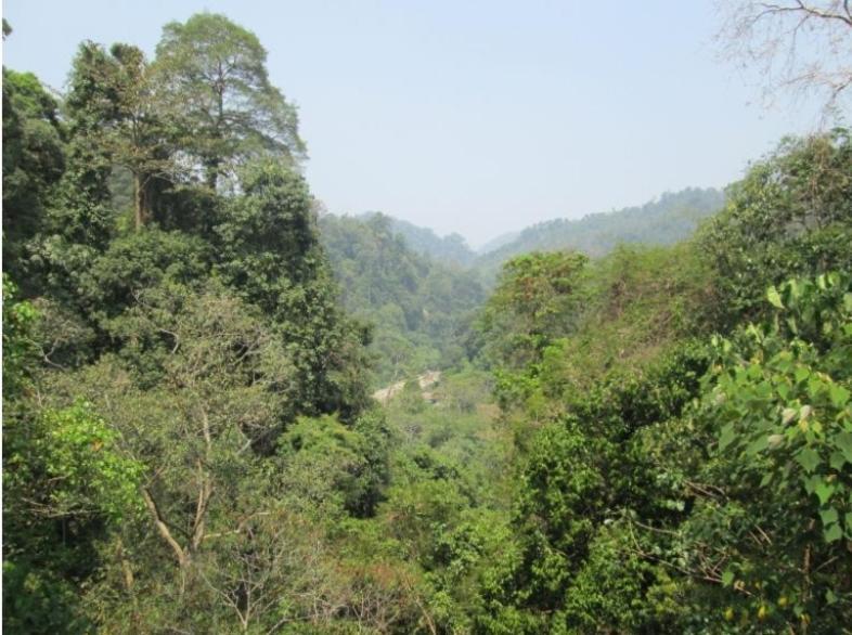 On The Rocks Bungalows, Restaurant And Jungle Trekking Tours Bukit Lawang Esterno foto