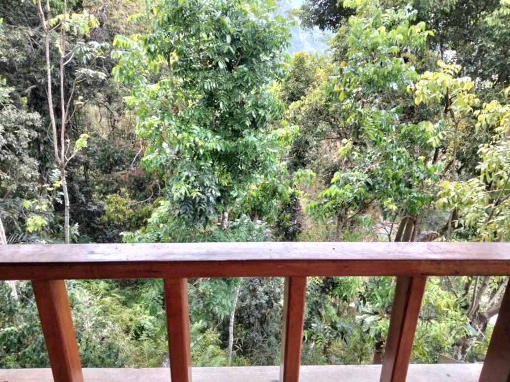 On The Rocks Bungalows, Restaurant And Jungle Trekking Tours Bukit Lawang Esterno foto