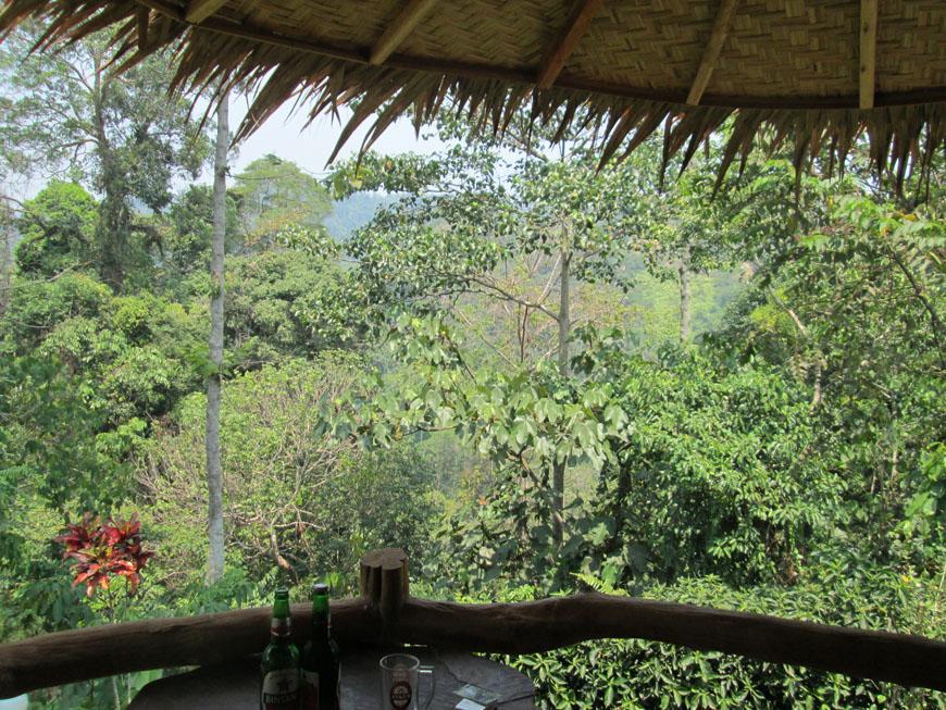 On The Rocks Bungalows, Restaurant And Jungle Trekking Tours Bukit Lawang Esterno foto