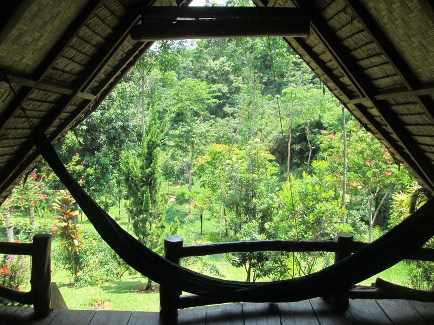 On The Rocks Bungalows, Restaurant And Jungle Trekking Tours Bukit Lawang Esterno foto