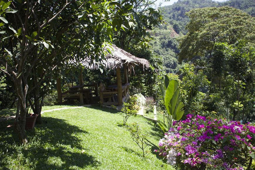 On The Rocks Bungalows, Restaurant And Jungle Trekking Tours Bukit Lawang Esterno foto