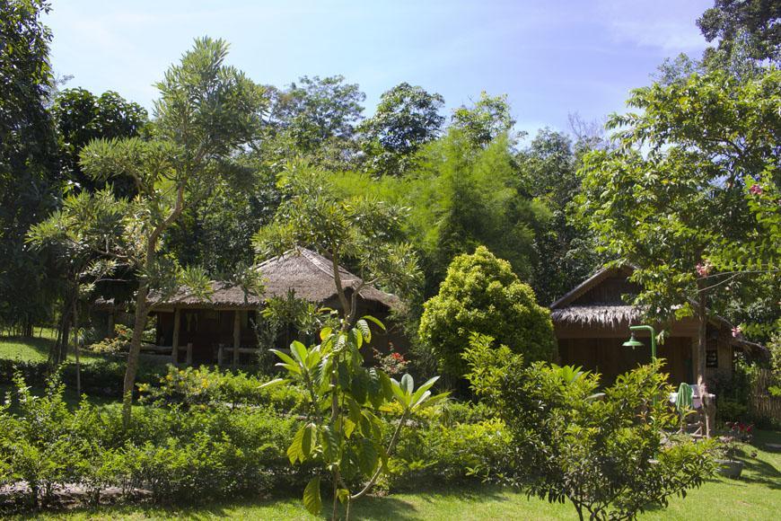 On The Rocks Bungalows, Restaurant And Jungle Trekking Tours Bukit Lawang Esterno foto